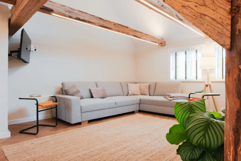 Wohnbereich der Ferienwohnung Anna auf dem Ilsehof mit großem Ecksofa, Teppich und Zimmerpflanze