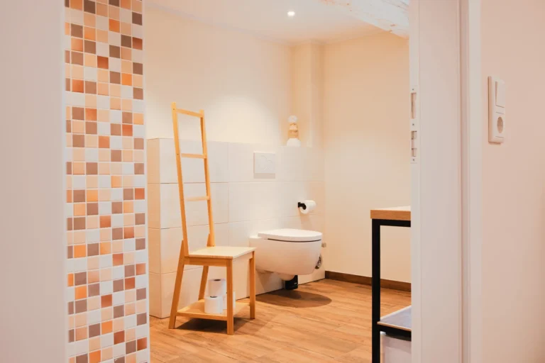 Badezimmer der Ferienwohnung Anna auf dem Ilsehof mit Toilette, Leiterhandtuchhalter und Holzfußboden