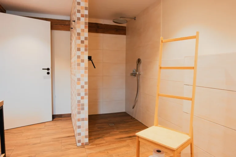 Badezimmer der Ferienwohnung Anna auf dem Ilsehof mit begehbarer Dusche und Regenbrause